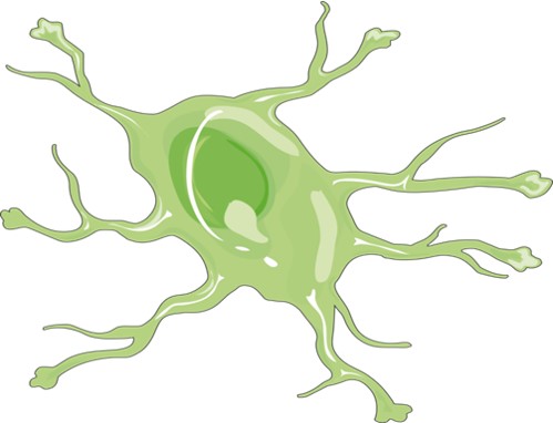 Fig.6 A picture of psychiatric & neurodevelopmental disorder models. (Servier Medical Art Original)