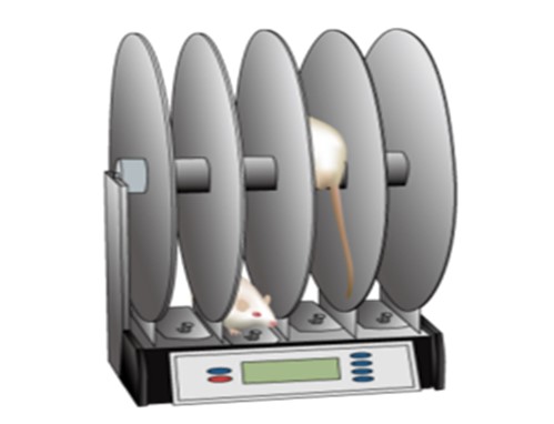 Fig.8 A picture of general functional assessment tools. (Wikimedia Commons Original)