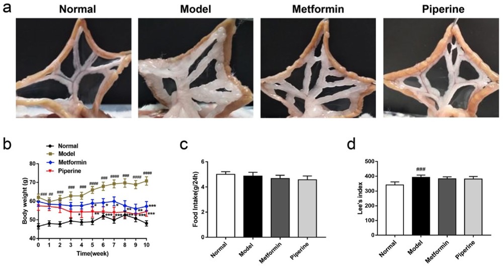 Fig.1 Piperine decreased mesenteric fat accumulation and body weight without affecting food intake or Lee's index. (OA Literature)
