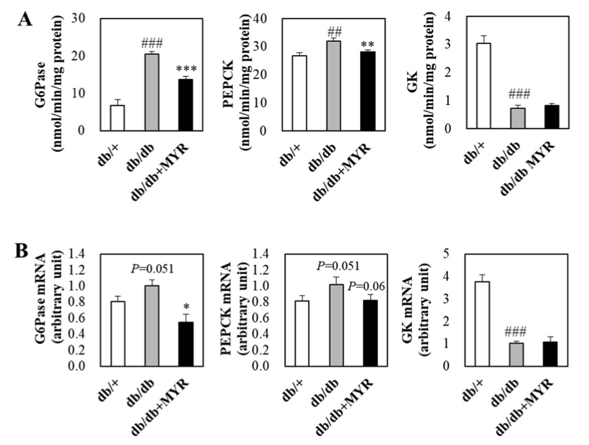 Fig.1 A picture showing the effects of myricitrin on hepatic glucose regulating enzyme activity and mRNA expression in db/db mice. (OA Literature)