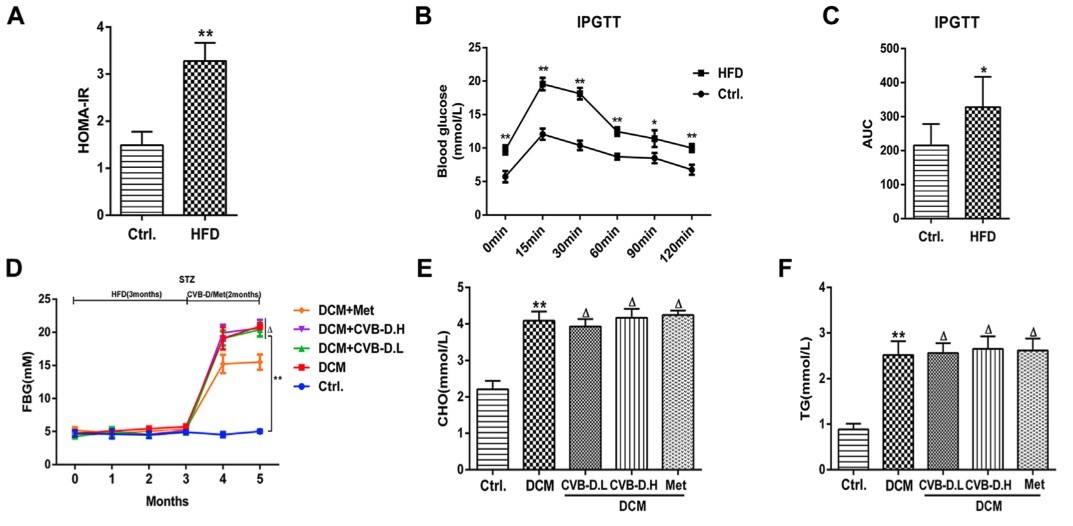 Fig.1 A picture showing HFD (high-fat and high-glucose diet) combined with STZ (streptozotocin) induces type 2 diabetes model in mice. (OA Literature)