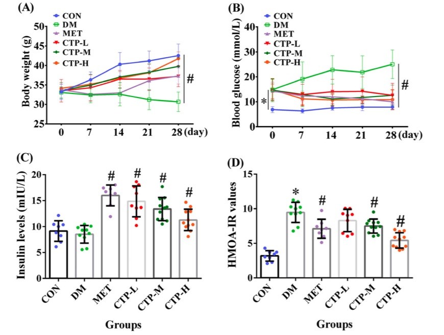 Fig.2 A picture showing the effects of CTP on body weight, FBG, insulin level, and HOMA-IR value in STZ-induced diabetic mice. (OA Literature)