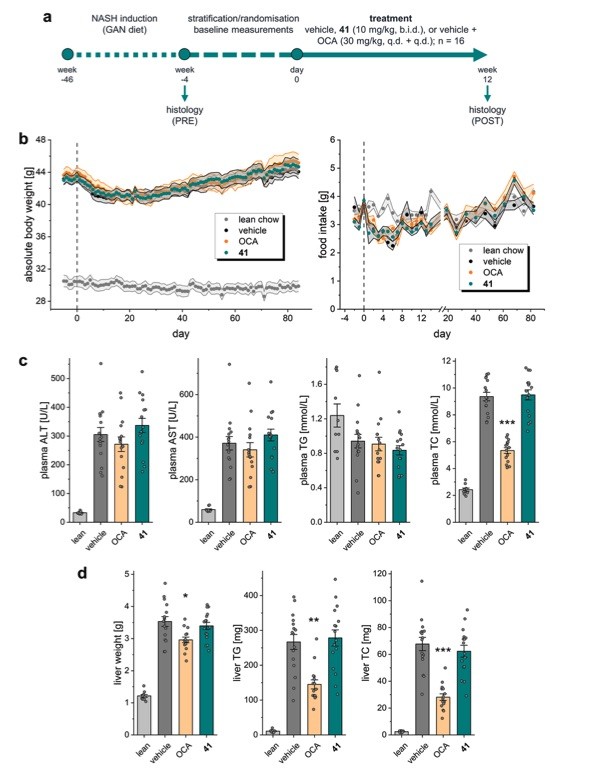 Fig.1 Evaluation of compound 41 in a diet induced obesity (DIO) NASH mouse model. (OA Literature)