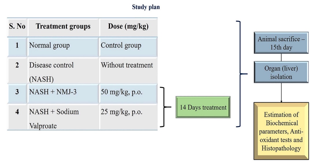 Fig.1 A picture of treatment groups and study plan. (OA Literature)