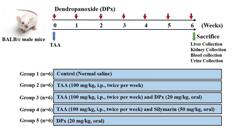 A picture of the experimental design. (OA Literature)
