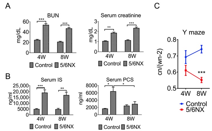 The 5/6 nephrectomy-induced chronic kidney disease (CKD) mouse models exhibit deficits in working memory. (OA Literature)