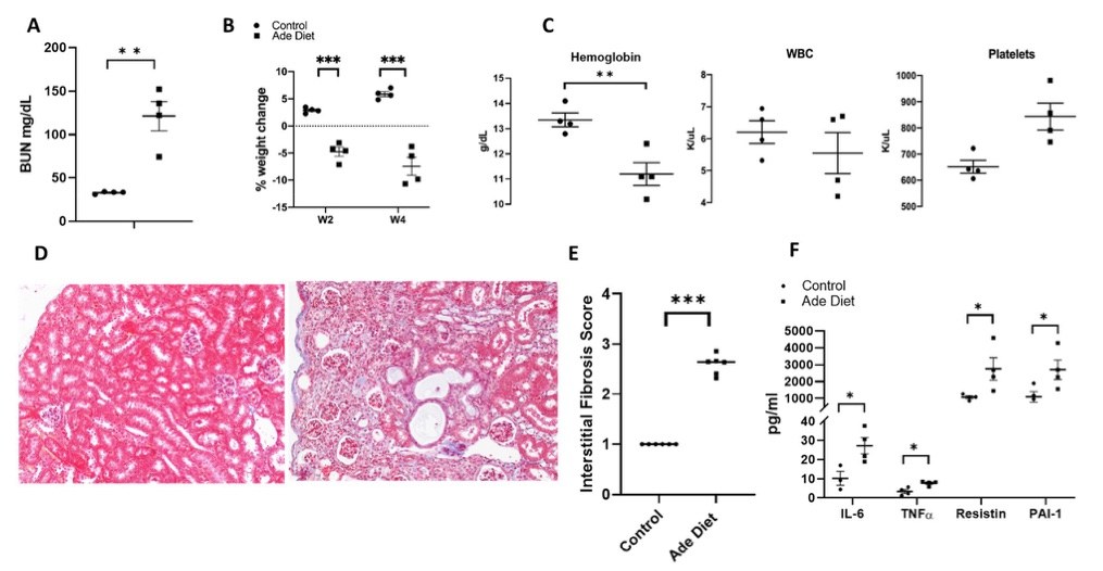 ILK deficiency prevents FA-induced renal fibrosis. (OA Literature)