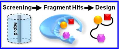 Fragment-Based Screening