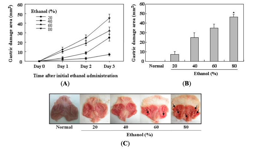 Fig.1 Establishment of the ideal ethanol-induced gastric mucosal injury model in rats. (OA Literature)