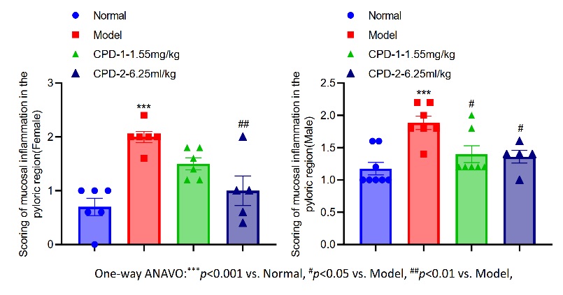 Fig.2 A picture showing the scoring of mucosal inflammation in the pyloric region. (Creative Biolabs Original)