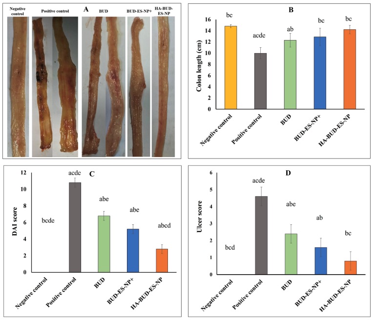 Fig.1 A picture showing the effect on colon length, DAI, and macroscopic ulcer score was evaluated in the acetic acid-induced IBD model. (OA Literature)