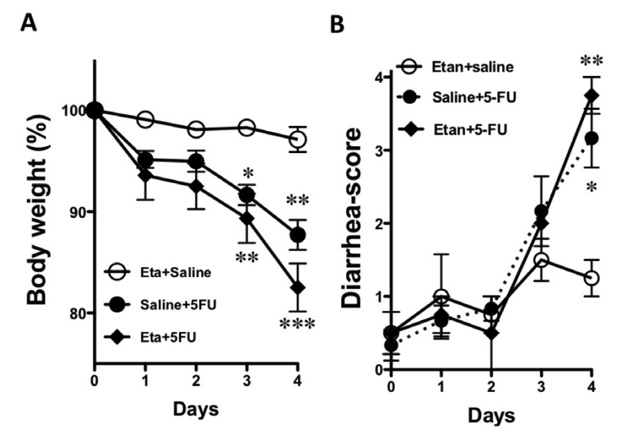 Fig.1 A picture showing the effect of the administration of etanercept on the 5-FU-induced changes in body weight and the diarrhea-score. (OA Literature)
