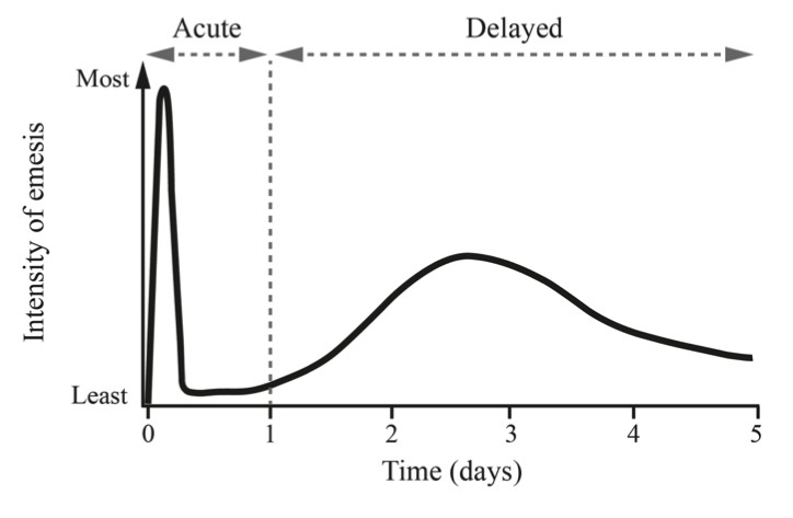 Fig.1 A picture showing the pattern of cisplatin-induced delayed emesis. (OA Literature)