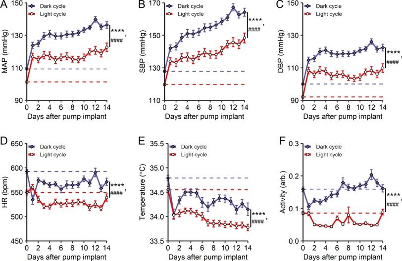 Change in MAP, SBP, DBP, heart rate, body temperature, and activity levels during Ang II infusion. (OA Literature)