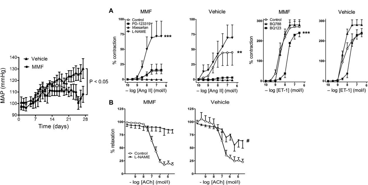 Response of the mean arterial pressure (MAP) and vascular to DOCA-salt and co-treatment with MMF or vehicle. (OA Literature)