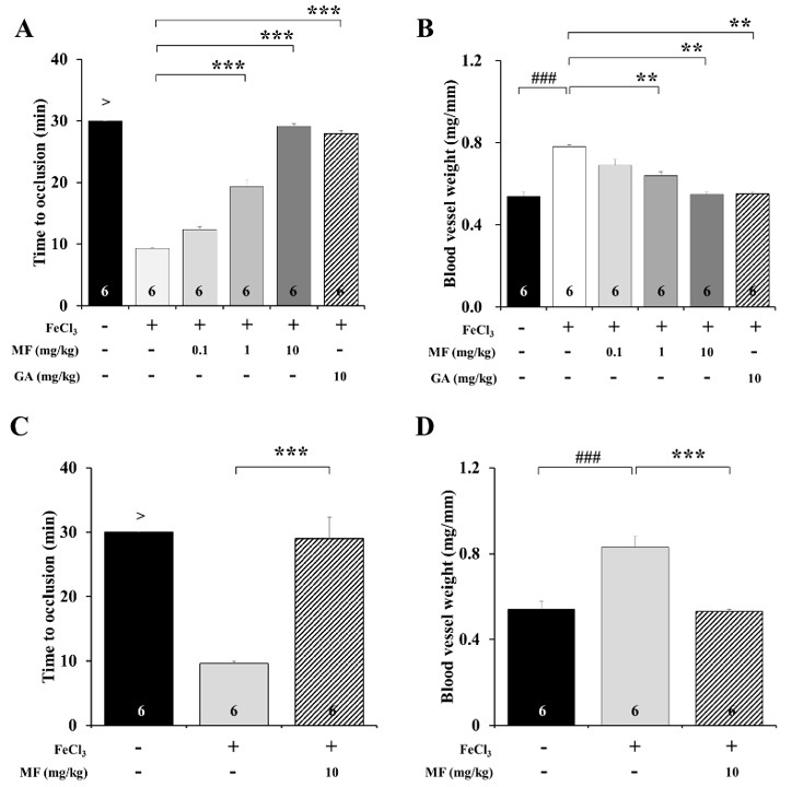 Time to occlusion and blood vessel weight in an FeCl3-induced arterial thrombosis model with an intraperitoneal injection of MF. (OA Literature)