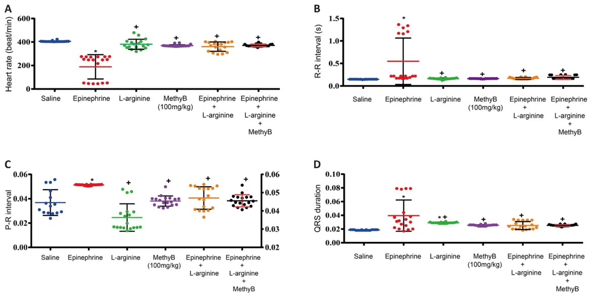 Effects of treatment with L-arginine on the epinephrine-induced changes in heart rate, RR interval, PR interval, and QRS duration. (OA Literature)