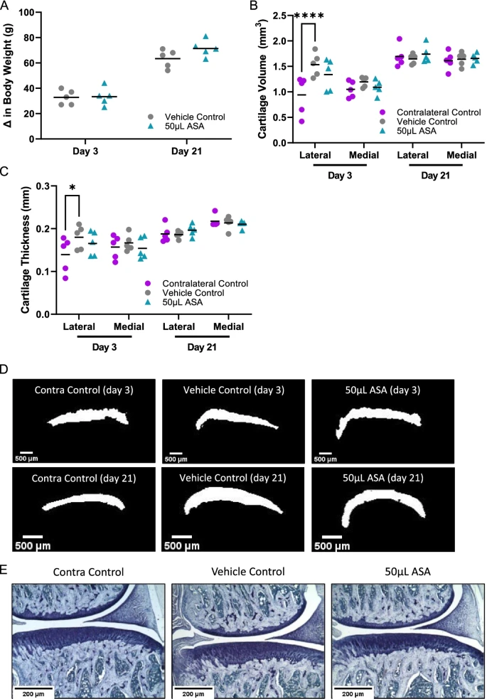 Fig.2 Cartilage and Body Weight Change with MicroCT and Histopathology Analyses. (OA Literature)