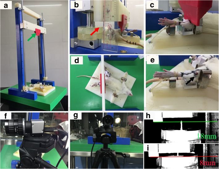 Fig.1 The fracture apparatus and the process of a typical moderate open fracture (type II). (OA Literature)