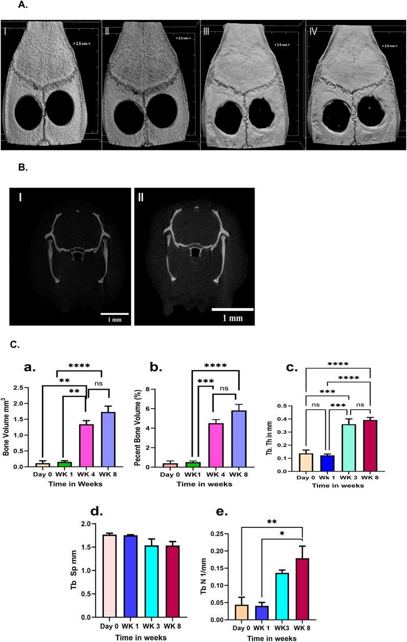 Fig.2 Microcomputed images (micro-CT) data showing the defect group. (OA Literature)
