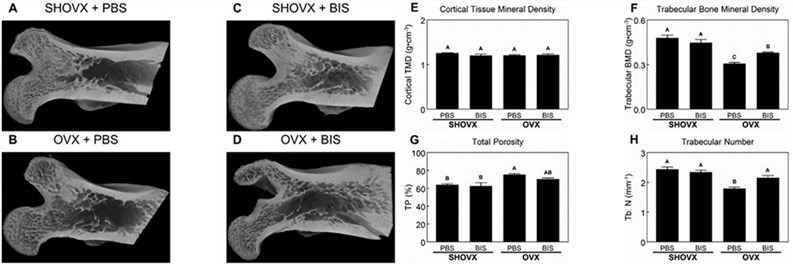 Fig.2 Characterization of the ovariectomy induced osteoporotic phenotype. (OA Literature)