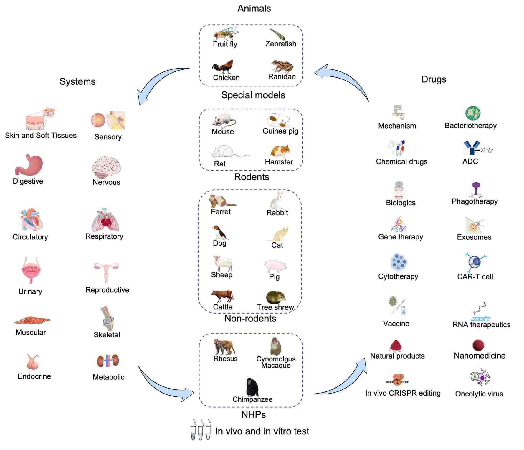 In vivo and in Vitro test offered by Creative Biolabs (Creative Biolabs Authorized)