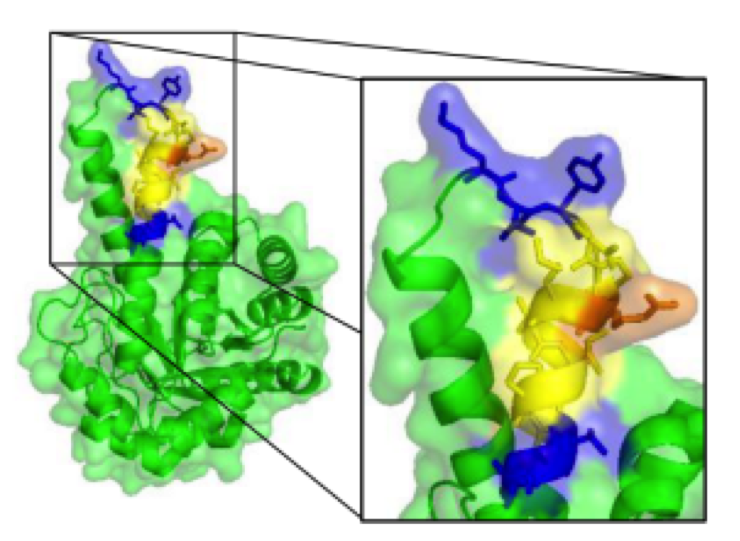 Methods for target identification (Farha and Brown, 2016)
