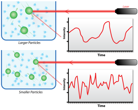 Dynamic light scattering