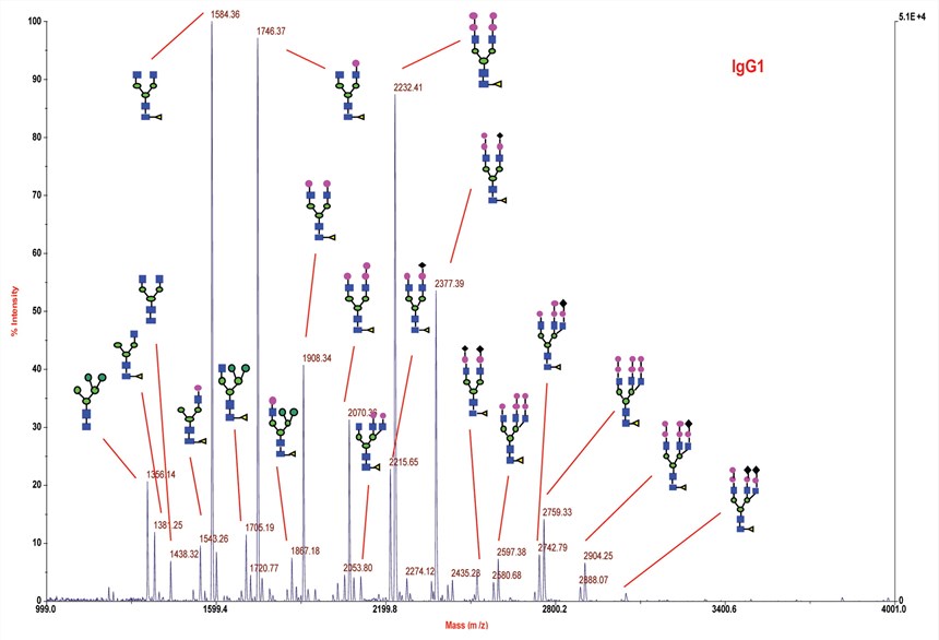 Negative-ion MALDI spectrum of N-linked glycans released from IgG1 product