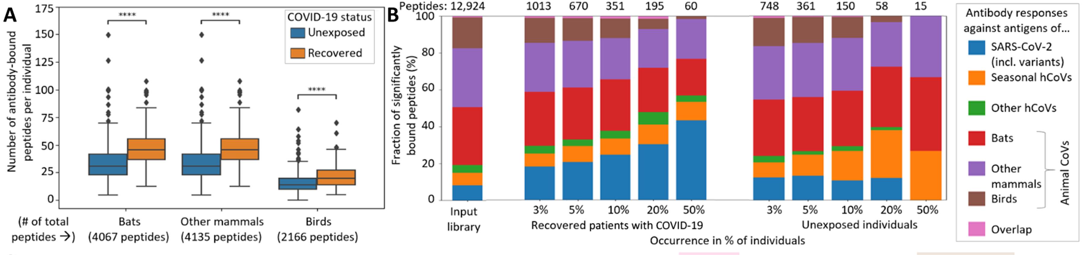 Fig.2 Cross-reactivity of human serum antibodies towards aCOVs.