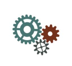 Multiple available microRNA target probes enable multiplexing and co-localization