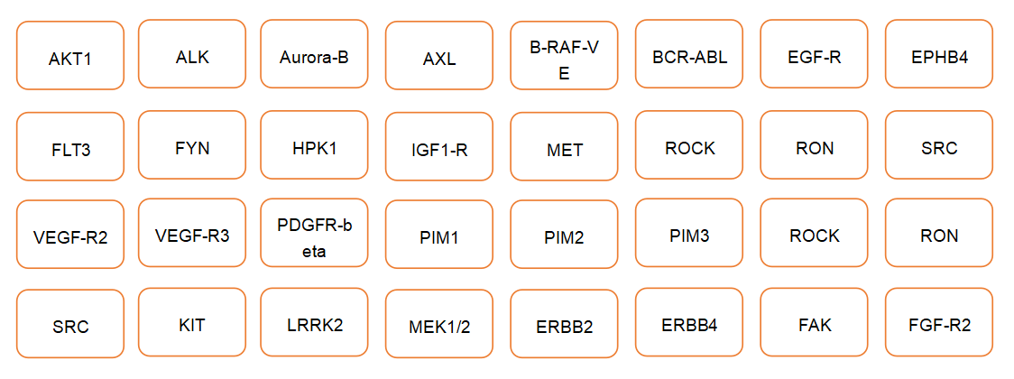 Fig. 2 Working process of our in vitro cellular phosphorylation assay. (Creative Biolabs Original)