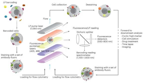Fig.1 Multi-pass flow cytometry. (OA Literature)