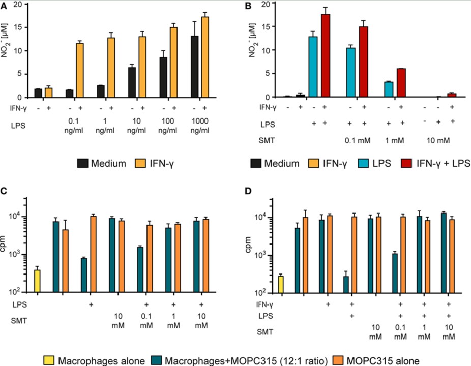 Fig.3 NO is involved in the suppression of tumor cell proliferation by activated macrophages. (Müller, et al., 2017)