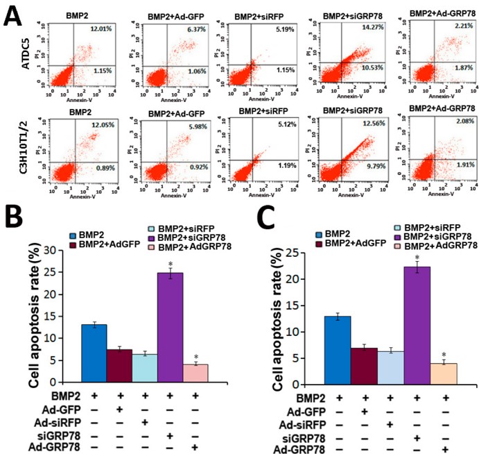 Fig.2 FCM-based cellular apoptosis assays.