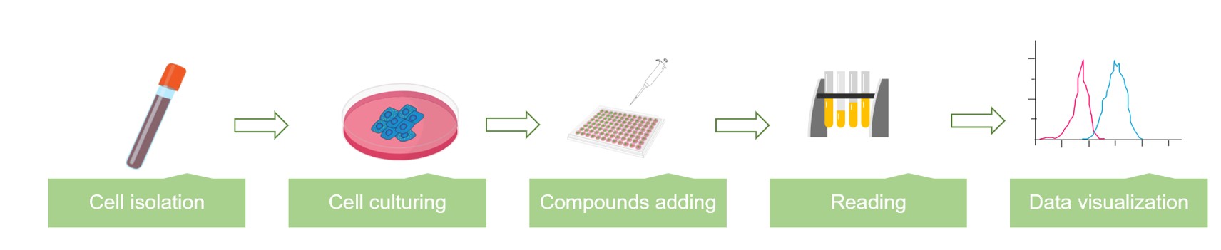 Fig.2 Our assay workflow. (Creative Biolabs Original)
