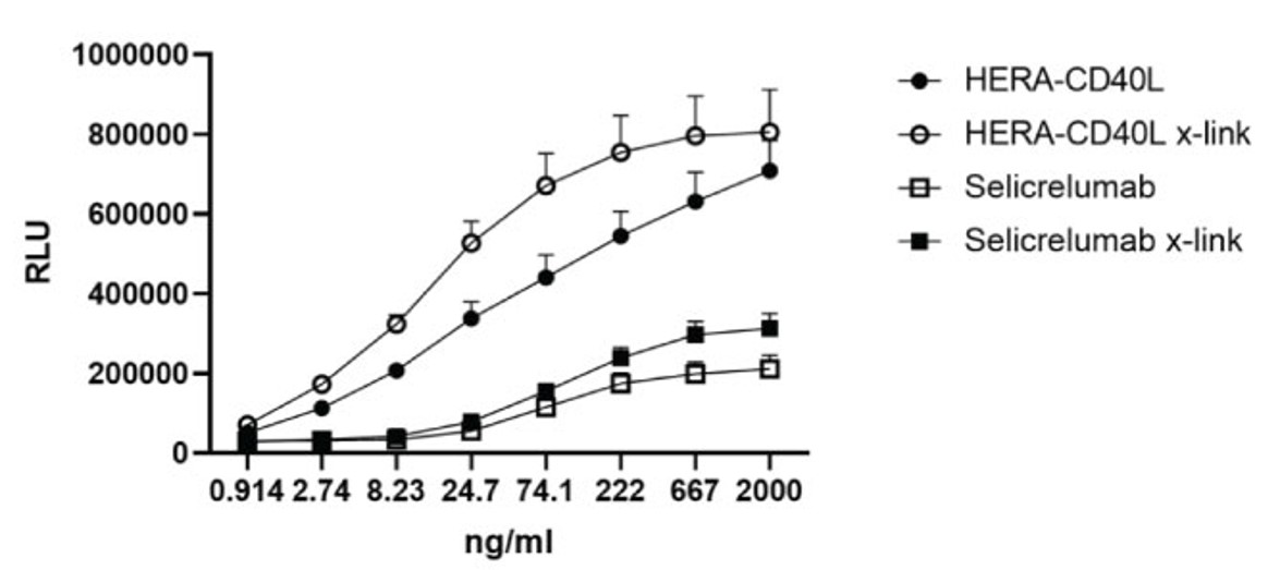Fig.3 CD40 luciferase assay comparing HERA-CD40L and control antibody in activating CD40. (Frankish, et al., 2023)