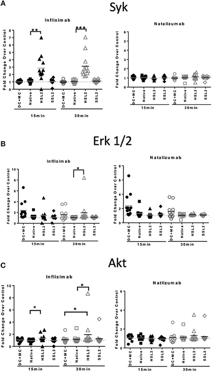 Fig.5 Protein phosphorylation in moDC treated with native or aggregated antibody drug. (Morgan, et al., 2019)
