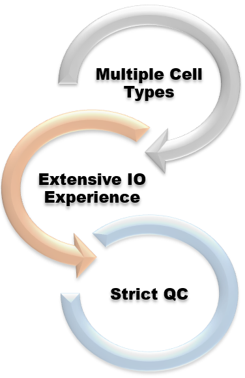 Fig.5 Our services highlights. (Creative Biolabs Original)