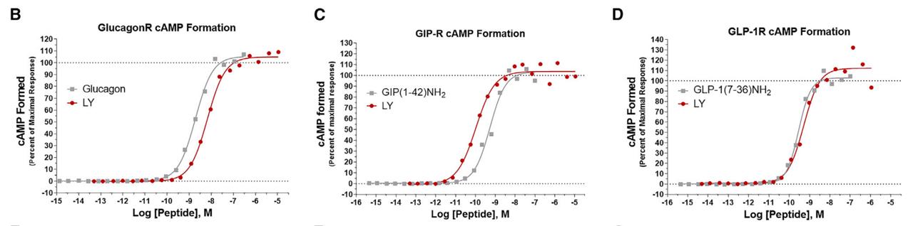 Celluar cAMP accumulation after LY3437943 agonist stimulated