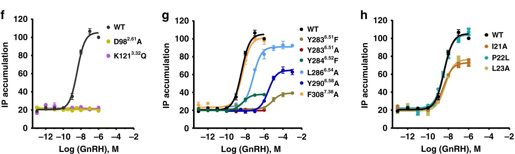 Agonist GnRH dose-dependent responses of GnRH1R