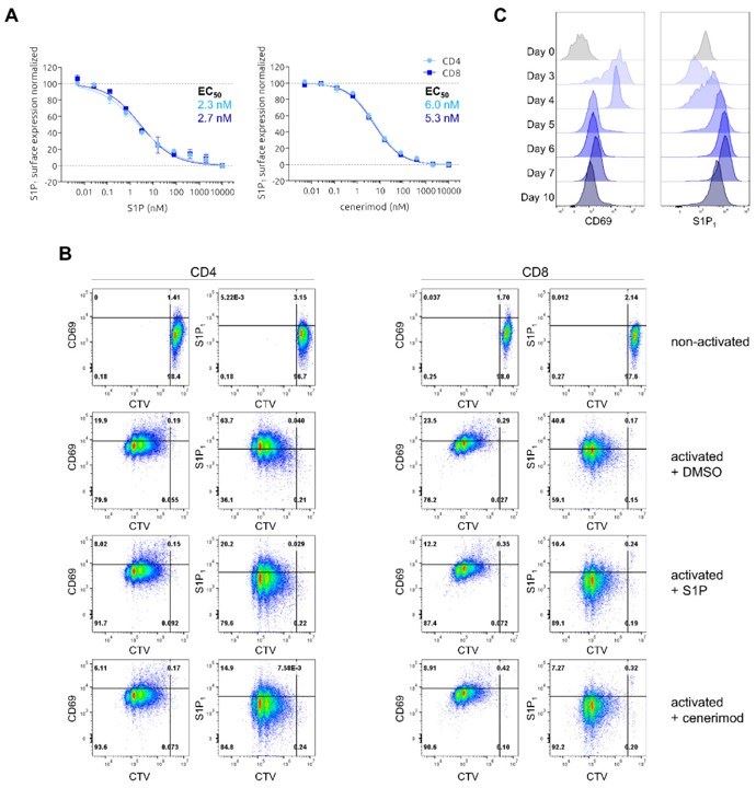 S1P- and cenerimod-mediated S1P1 receptor internalization and CD69 expression dynamics in primary human T cells after activation