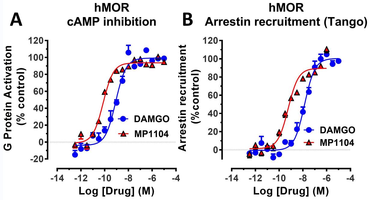 For cAMP inhibition, MP1104 is a complete agonist at hMOR