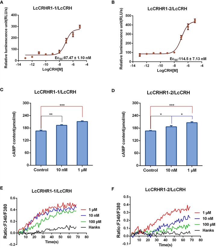 Functional characteristics of LcCRHR1s