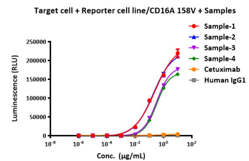 Fig.2 In vitro reporter cell-based ADCC assay with samples. (Creative Biolabs)