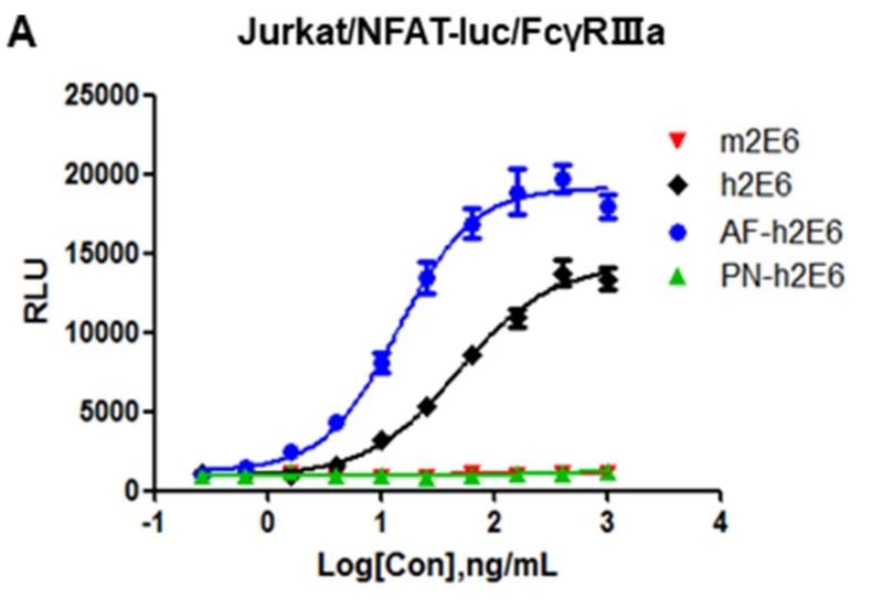 FcγRIIIa effector cells utilized in an ADCC reporter assay.
