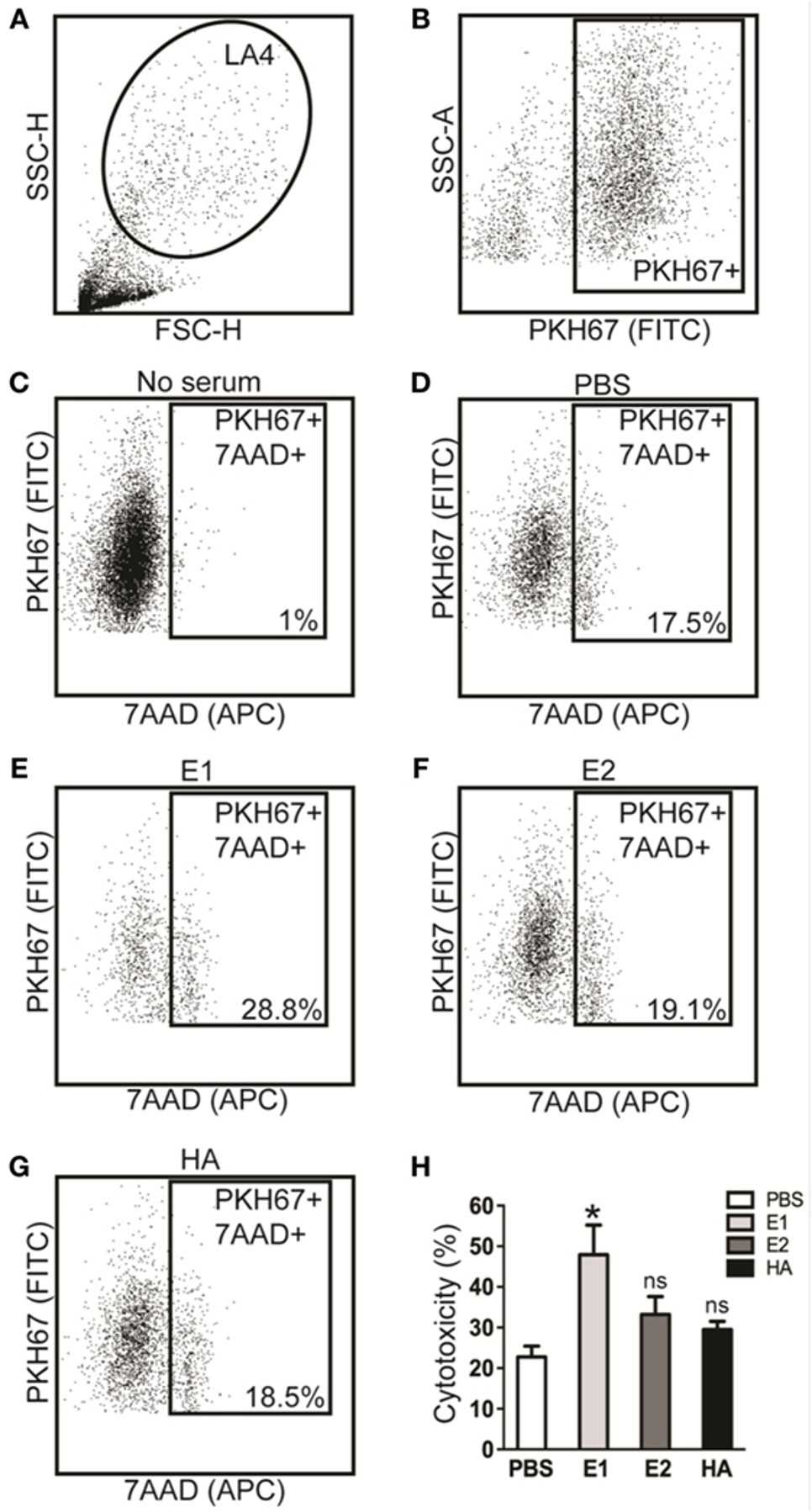 Antibody-dependent cell-mediated cytotoxicity (ADCC) responses are enhanced by the sera of E1-vaccinated mice. (OA Literature)