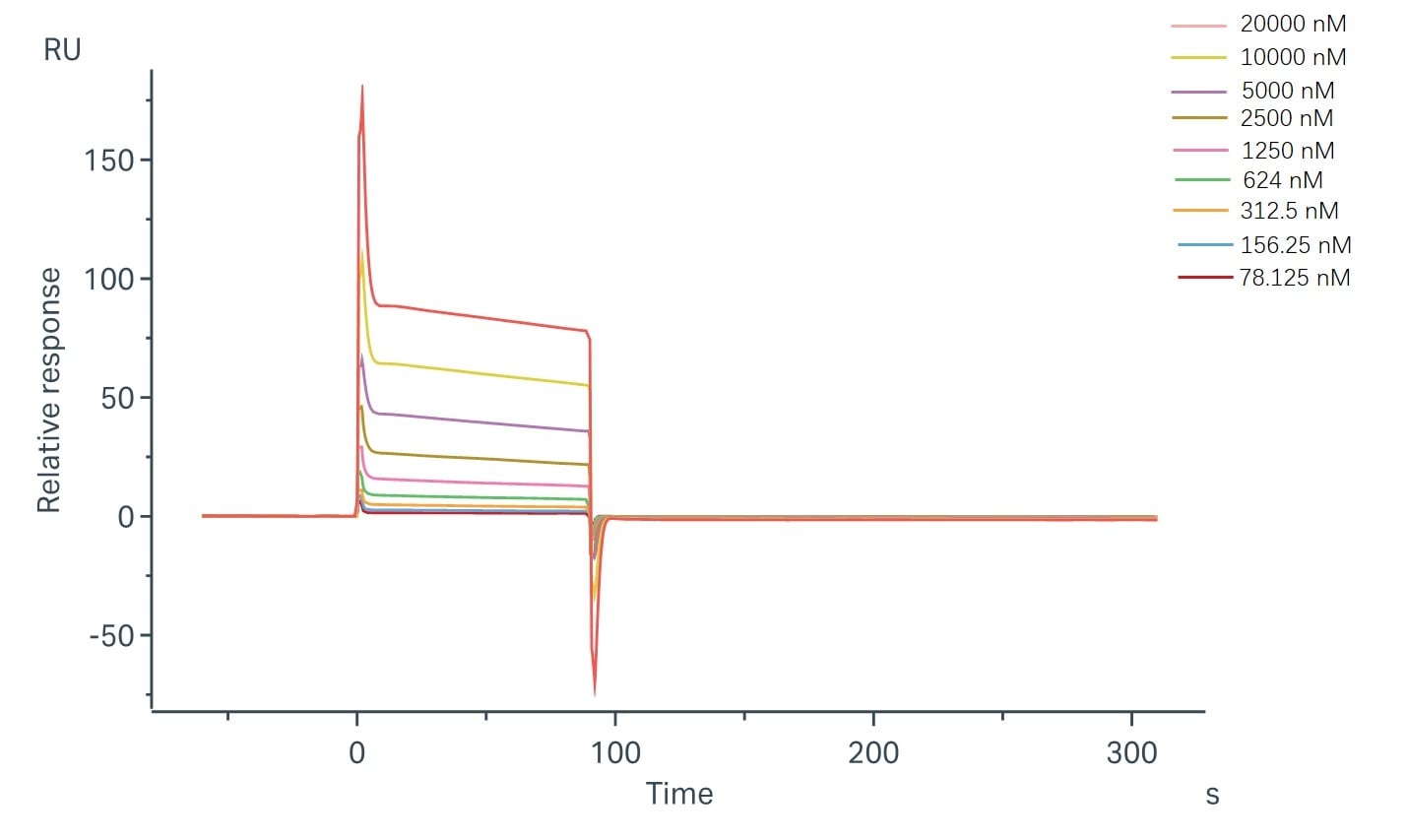 Binding and fitting curves between sample-1 with FcγRIIb/CD32b at different concentrations.