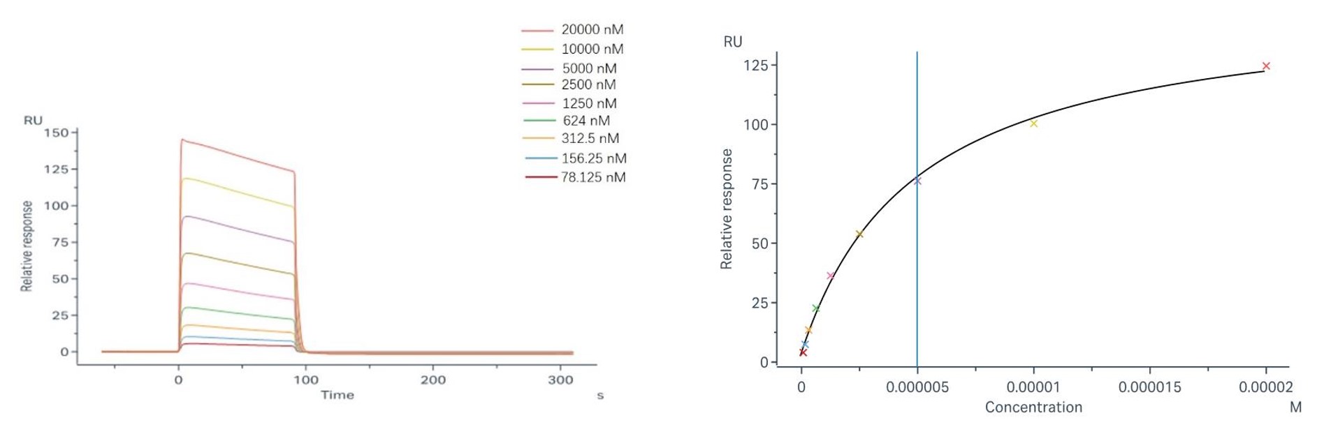 Sample binding and fitting curves with FcγRIIa/CD32a (H167). (Creative Biolabs Original)