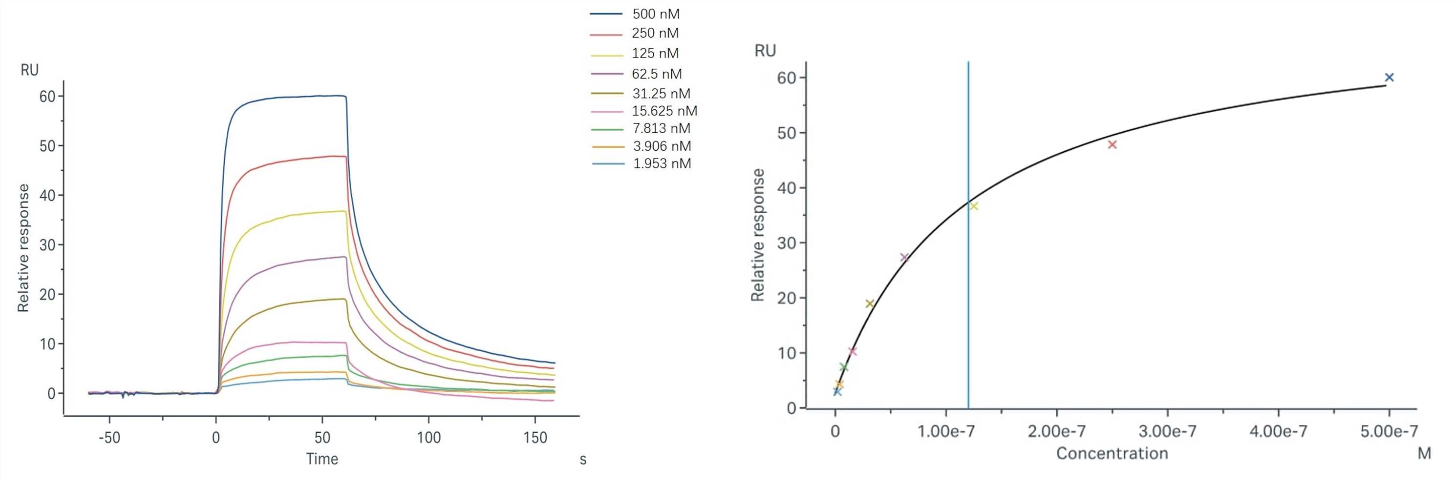 Binding and fitting curves. (Creative Biolabs Original)